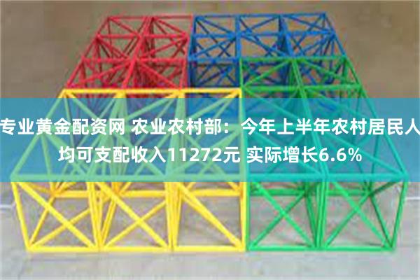 专业黄金配资网 农业农村部：今年上半年农村居民人均可支配收入11272元 实际增长6.6%